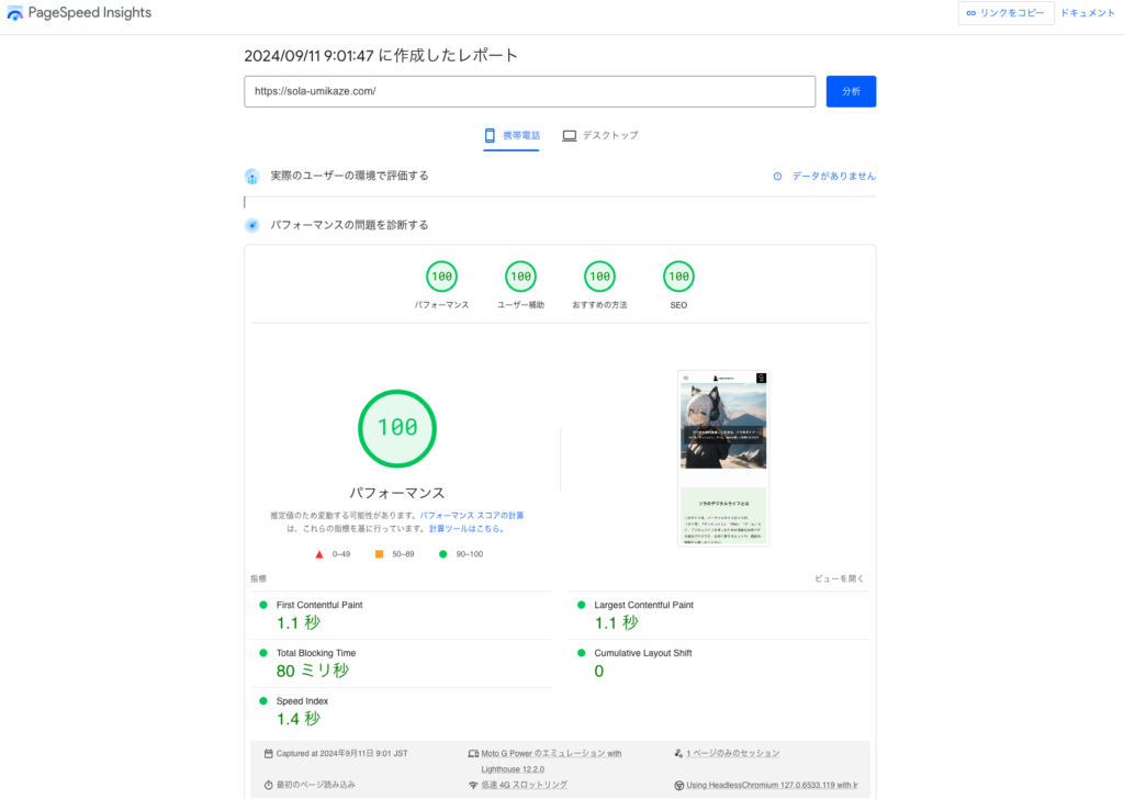 ソラのデジタルライフ pageSpeedInsightのモバイルスコアALL100点